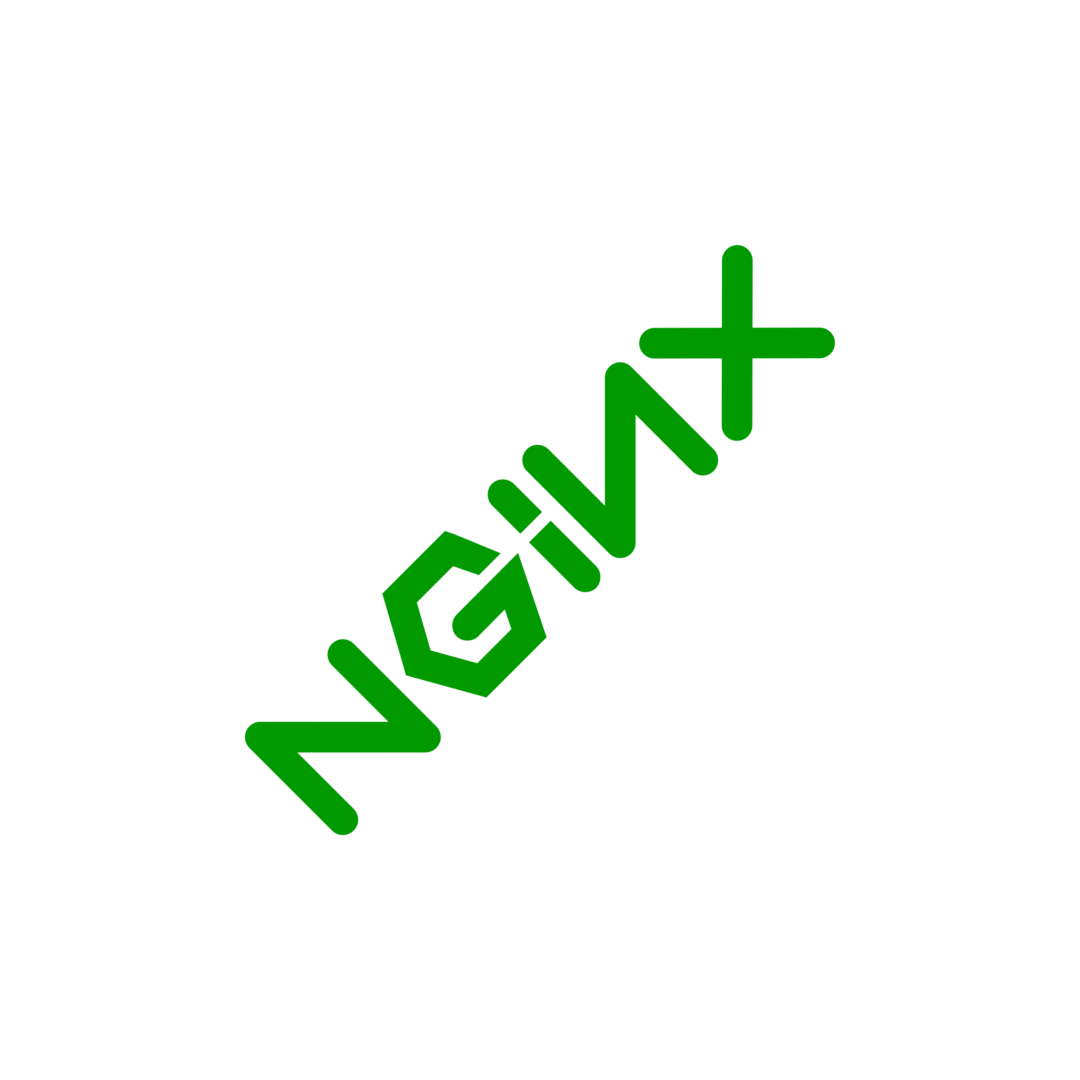 NGINX Logo